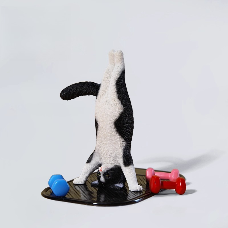 Model Hewan Yoga Kucing Mini S - Yoga Fitness First ulasan dan harga
